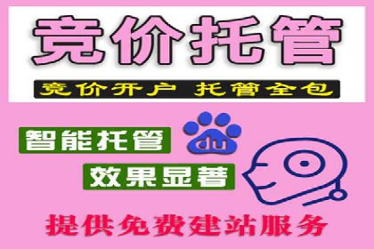 百度推广平台助力企业快速成长的营销策略案例